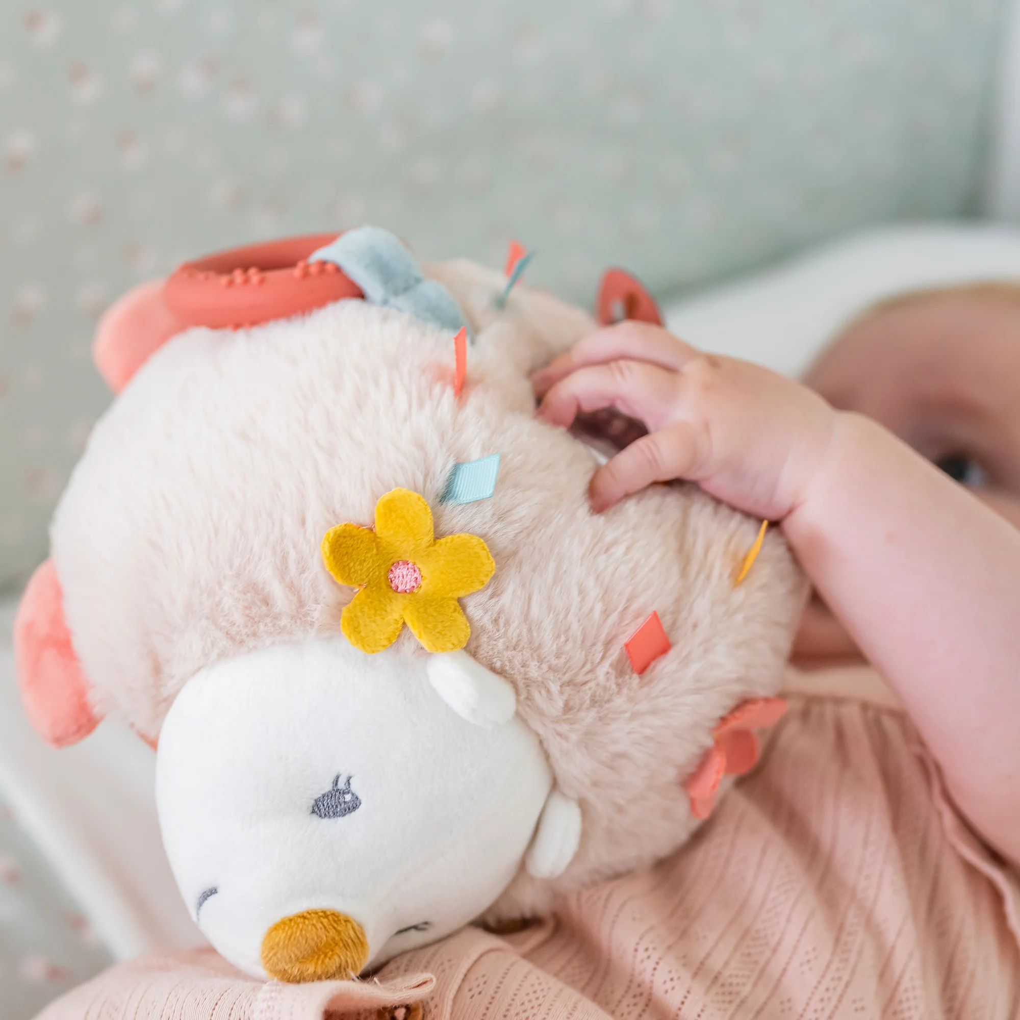 Activity Cuddly Hedgehog Zoe - Image 3