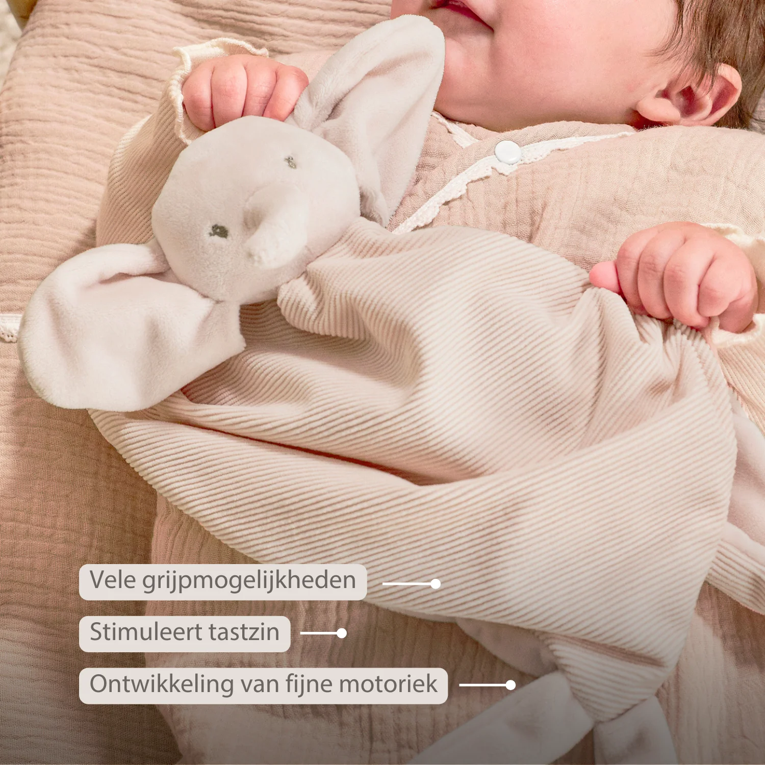 FanFan Baby Cuddly blanket - 65 x 40 cm - Doudou Elephant - Sand - Image 15