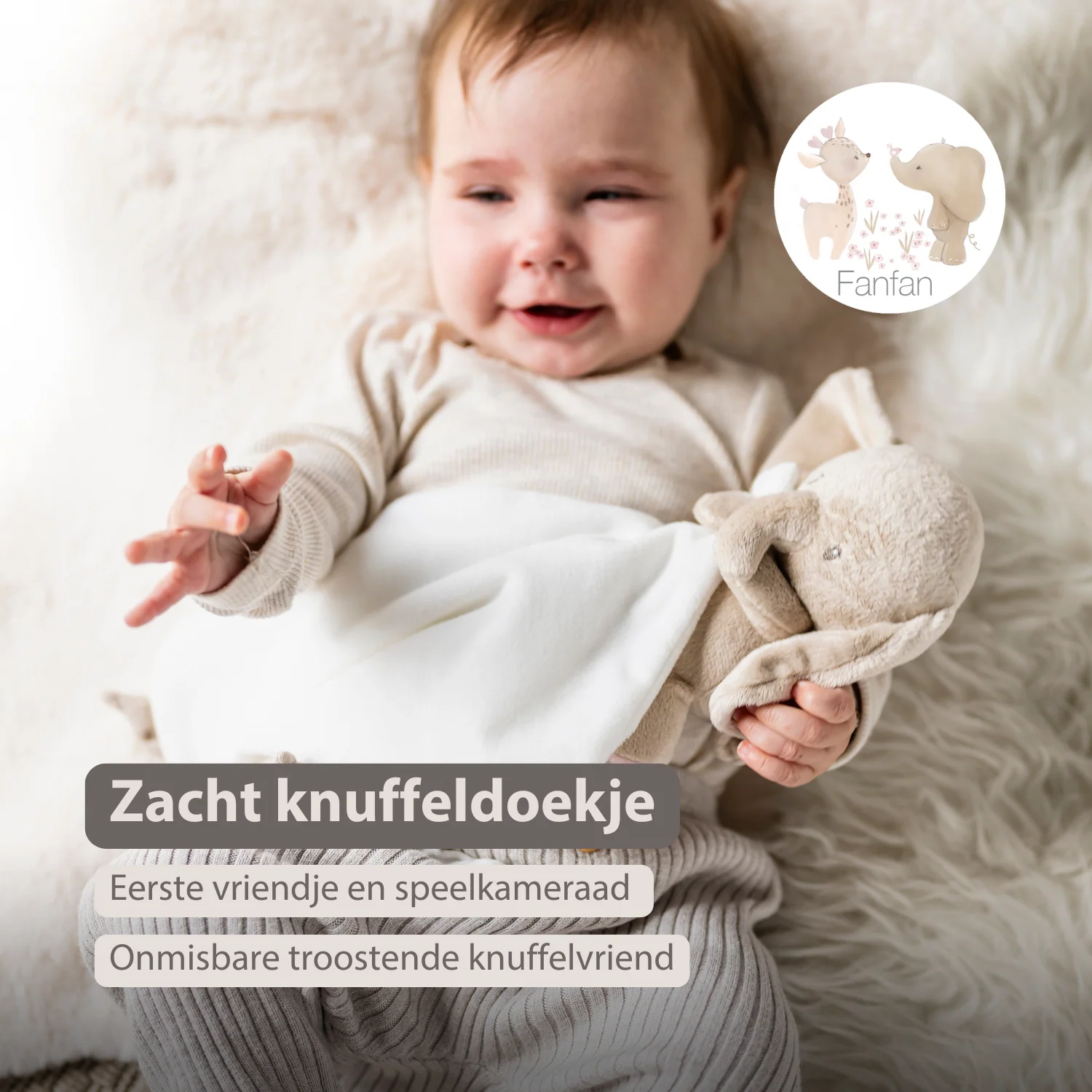 FanFan Baby Stuffed Cloth with Cuddle - 27 x 27 cm - Doudou Elephant - Off White - Image 20