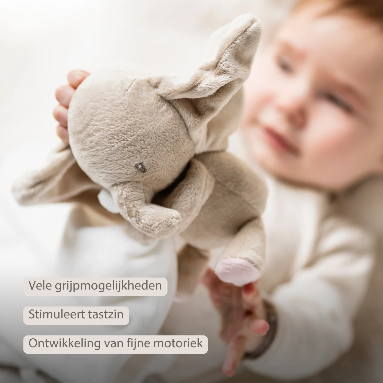 FanFan Baby Stuffed Cloth with Cuddle - 27 x 27 cm - Doudou Elephant - Off White - Image 21