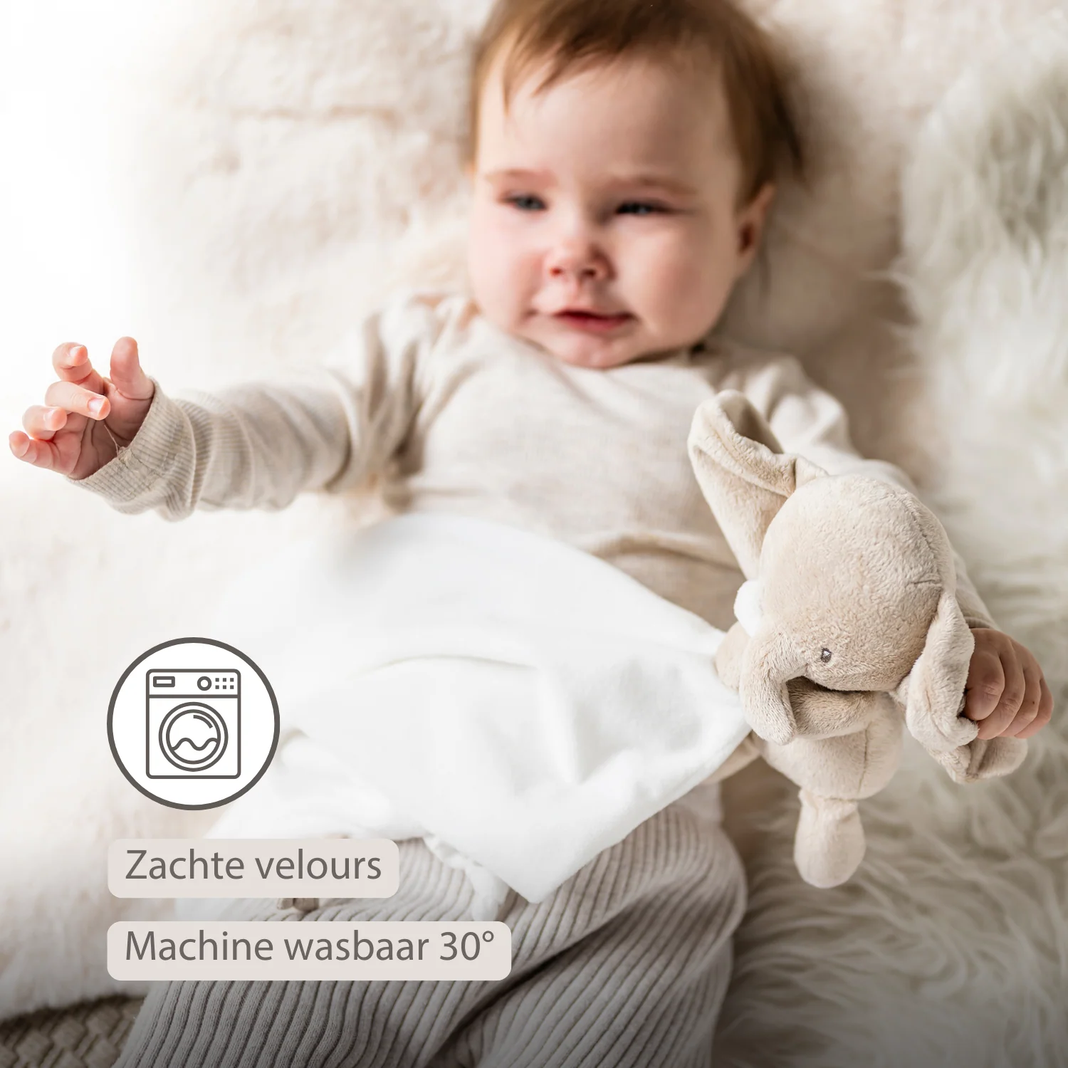FanFan Baby Stuffed Cloth with Cuddle - 27 x 27 cm - Doudou Elephant - Off White - Image 22