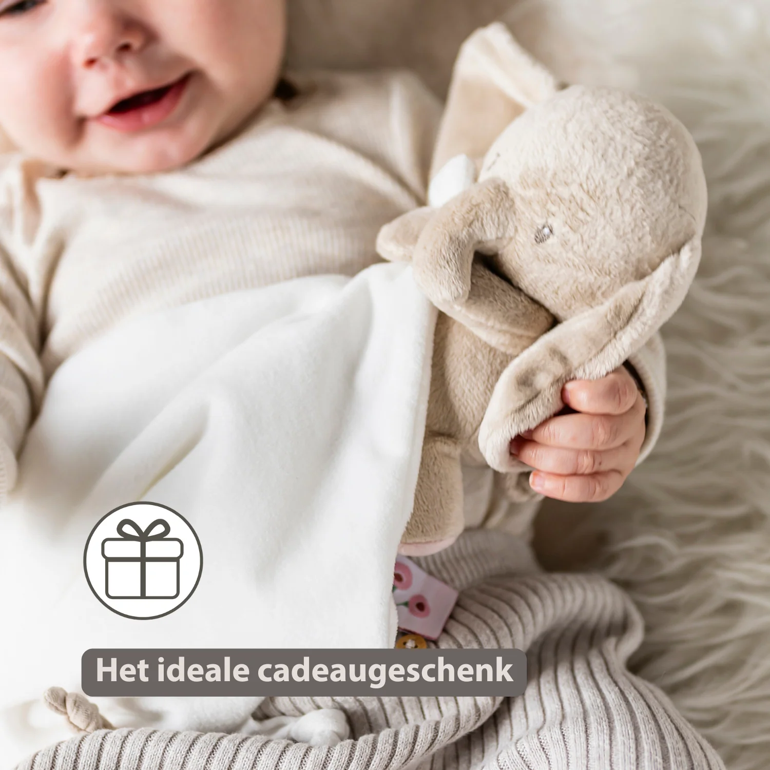 FanFan Baby Stuffed Cloth with Cuddle - 27 x 27 cm - Doudou Elephant - Off White - Image 24