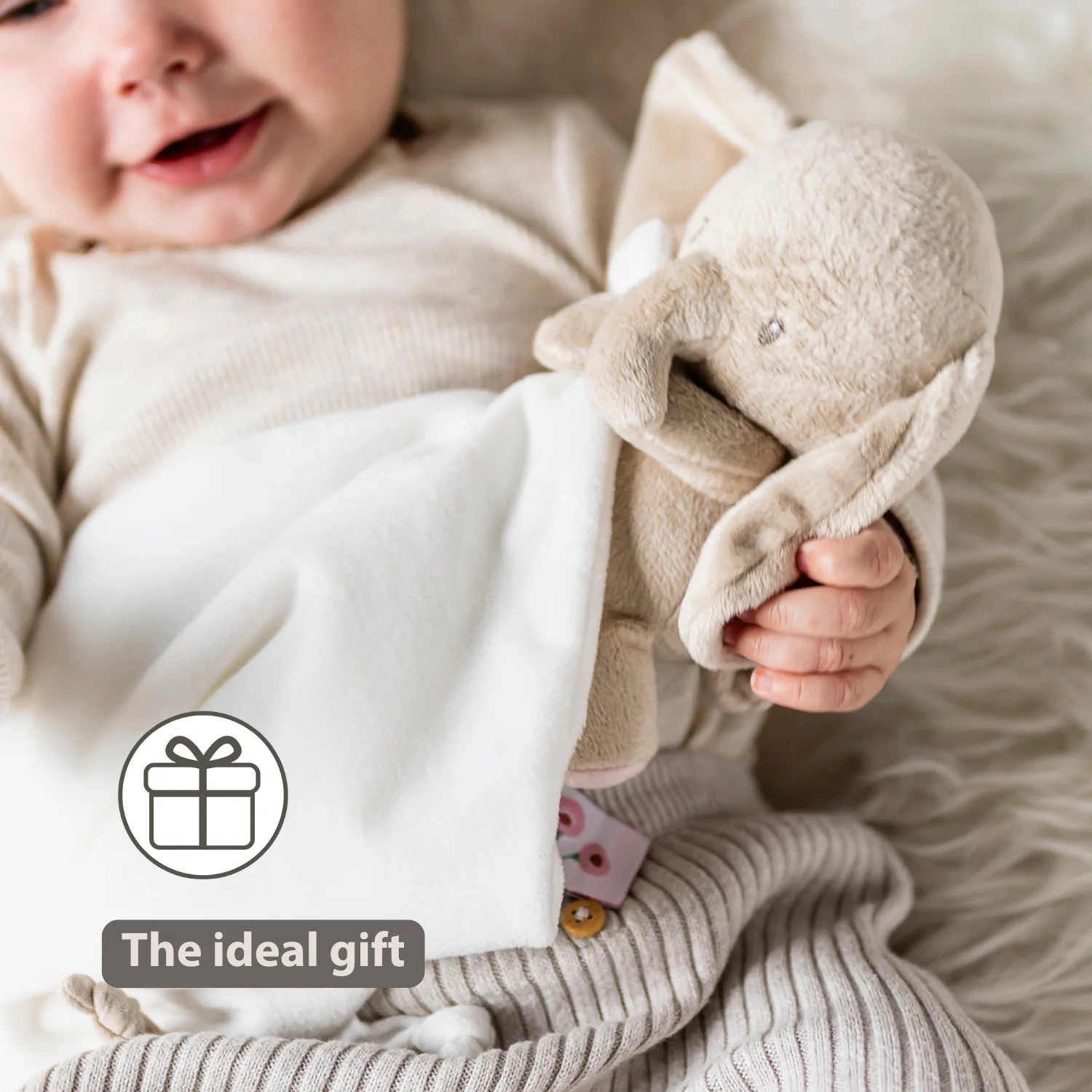 FanFan Baby Stuffed Cloth with Cuddle - 27 x 27 cm - Doudou Elephant - Off White - Image 30