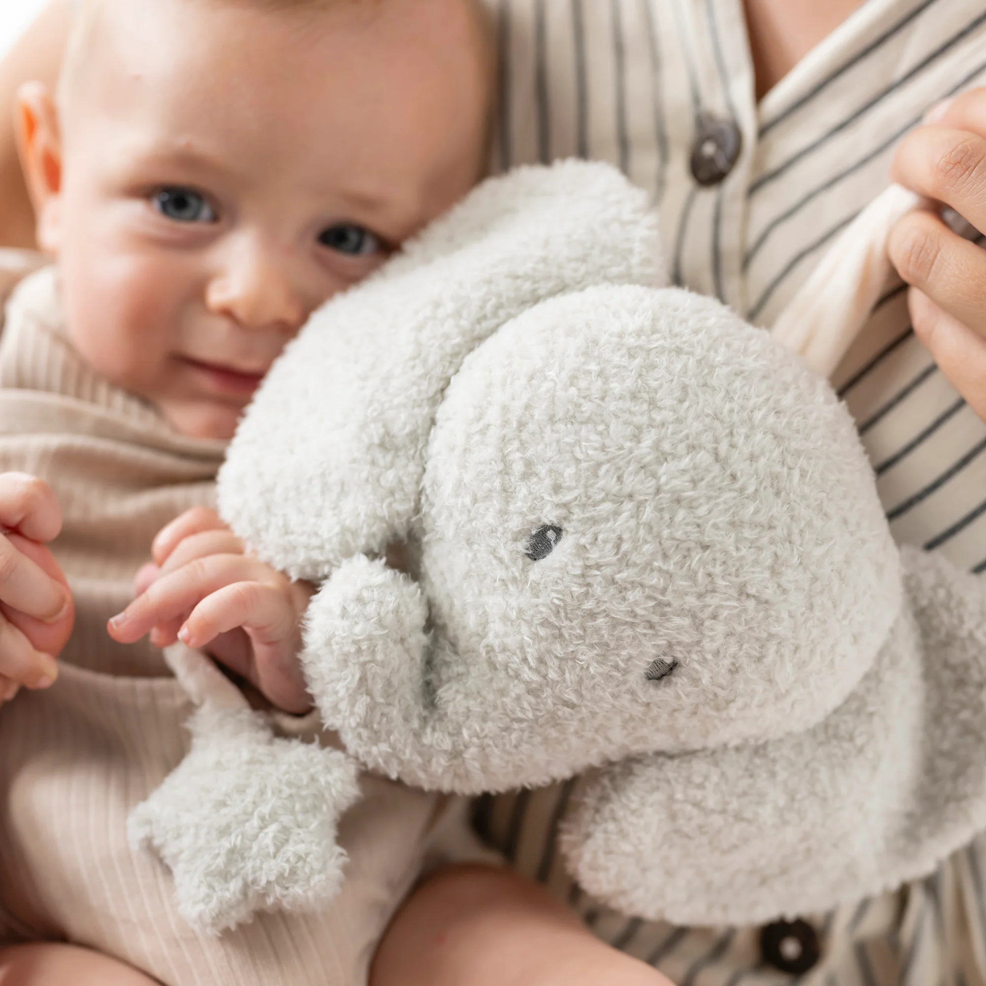 Musical Cuddly Elephant TEDDY - Image 3