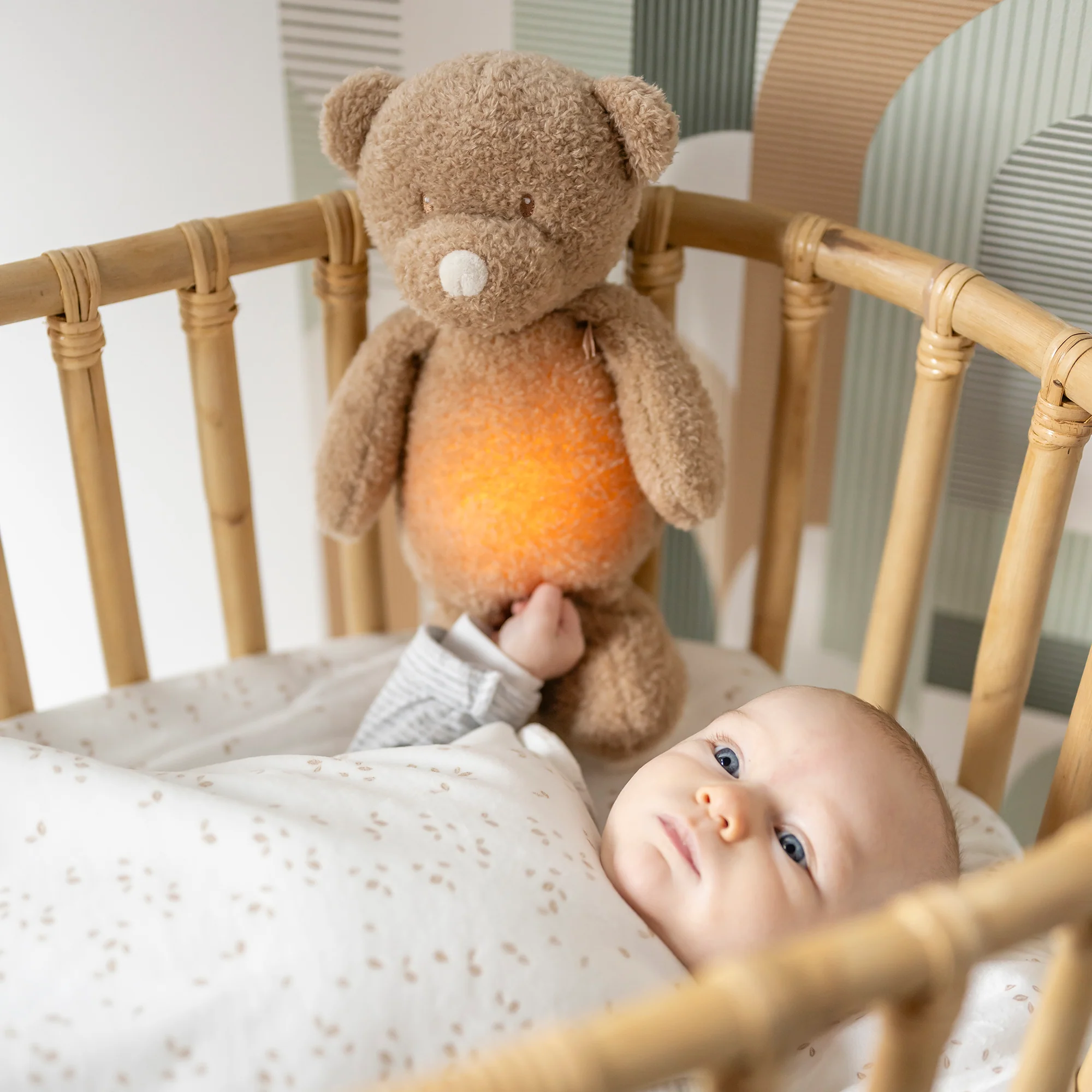 Night Light Bear NIGHTLIGHTS - Image 2