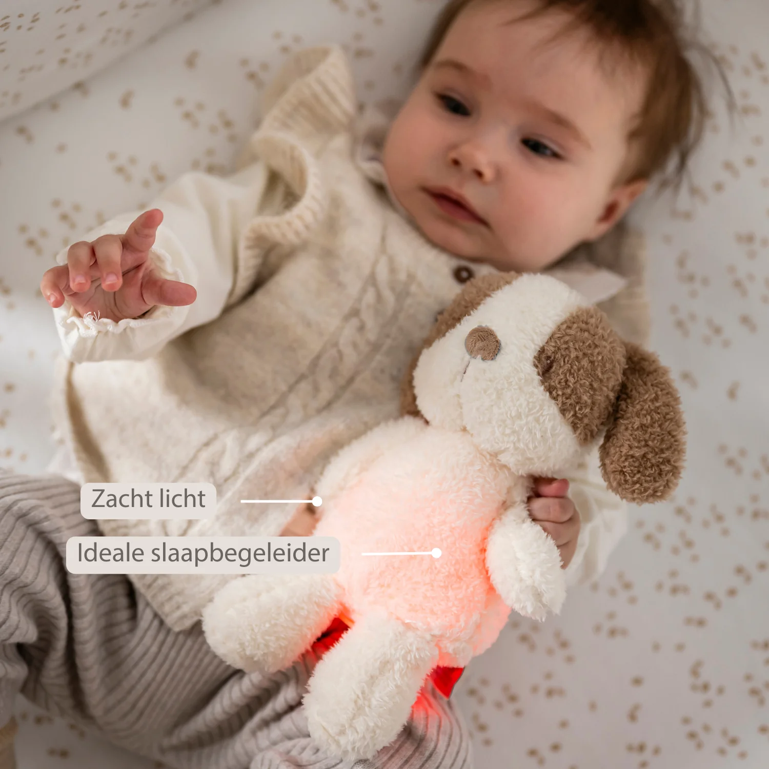 TEDDY Baby Night Light Dog – 25 cm – Soft Baby Plush – Beige - Image 24