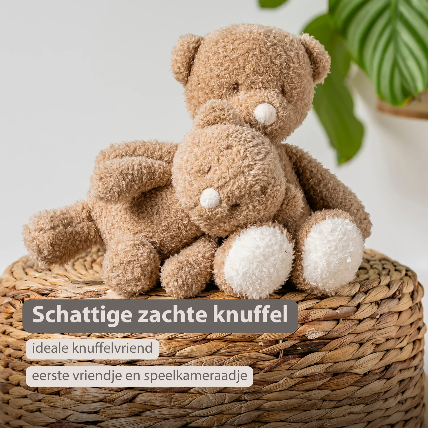 TEDDY Baby Plush Bear – 25 cm – Soft Baby Cuddle Toy – Beige - Image 23