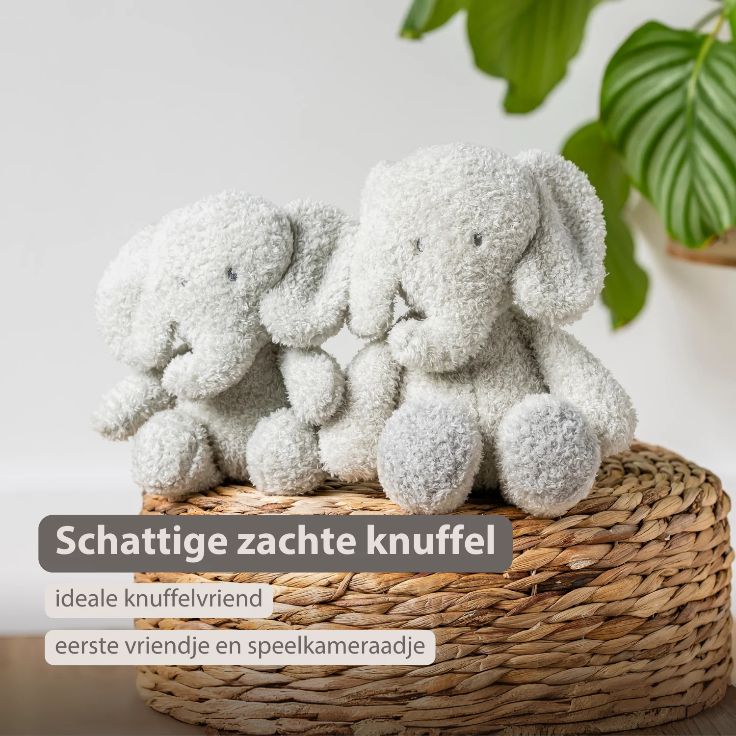 TEDDY Baby Plush Elephant – 25 cm – Soft Baby Cuddle Toy – Grey - Image 23